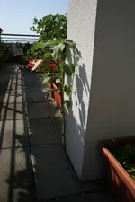30.06.2012 015.webp
