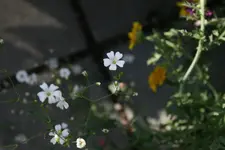30.06.2012 019.webp
