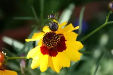 30.06.2012 025.webp