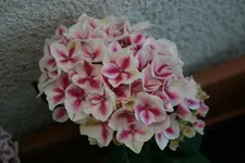 30.06.2012 031.webp