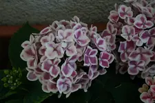 30.06.2012 032.webp