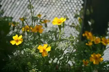 30.06.2012 026.webp