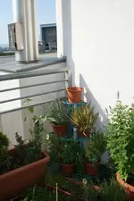 30.06.2012 030.webp