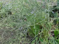 DSCI0546.jpg