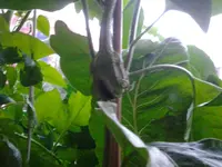 20120630_211428-1.webp