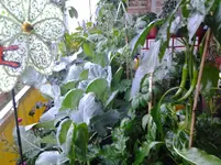 20120630_210636.webp