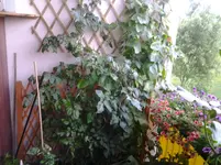 20120630_210743.webp