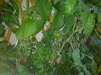 20120630_210731.webp