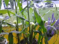 20120630_210708.webp