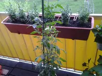 20120630_210651.webp