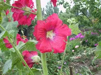 DSCI0535.webp