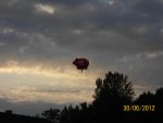 Schweineballon 100_1059 (Large).JPG