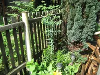 zu hause 012.webp