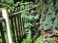 zu hause 013.webp