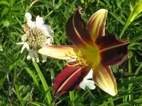 IMG_fragezeichen 18_1024x768.webp
