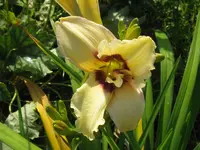 IMG_pandoras box_1024x768.webp