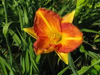 IMG_sä.nr 2_1024x768.webp