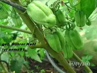 BILD0037.webp