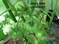 BILD0038.webp
