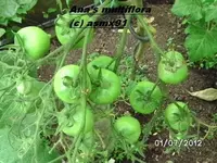 BILD0039.webp