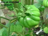 BILD0042.webp