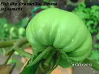 BILD0048.webp