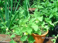 BILD1011.webp