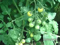 BILD1012.webp