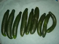 Garten 2.07.2012 003.webp