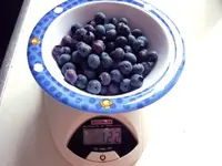Heidelbeeren_01072012.webp