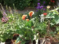 DSCF2021.webp