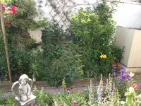 DSCF2023.webp