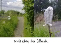 ErstMassnahme.webp