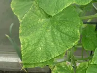 P1110400.webp