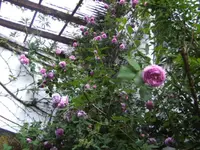 BILD1471.webp