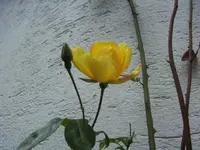 BILD1472.webp