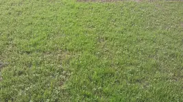 IMAG0141.webp