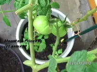 BILD0053.webp