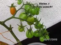 BILD0055.webp