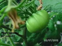 BILD0058.webp