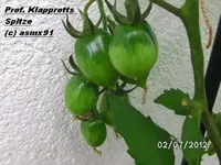 BILD0059.webp