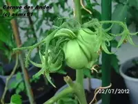 BILD0060.webp