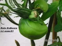 BILD0061.webp