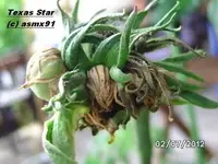 BILD0064.webp