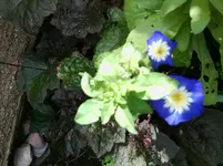 Foto0278.webp