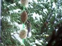 18. Mücke 1401 - Es ist angerichtet.webp 18. Mücke 1401 - Es ist angerichtet.webp