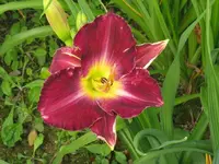 IMG_ab 209_1024x768.webp