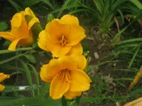 IMG_knick knack_1024x768.webp
