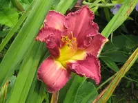 IMG_mort magic2_1024x768.webp