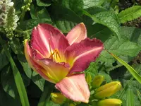 IMG_ocean rain_1024x768.webp
